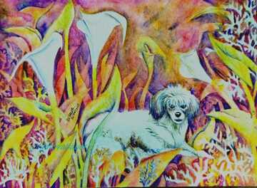 Acuarela, Mascota con paisajes fantásticos, 4 Sesiones, incluye materiales