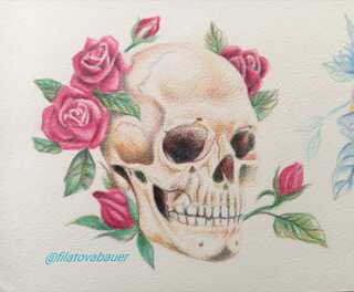 Lápiz de color, Osteología floral, 4 Sesiones, incluye materiales