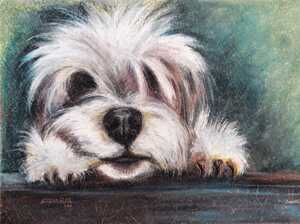 Pastel al óleo, Estudio de perros, 4 Sesiones, incluye materiales
